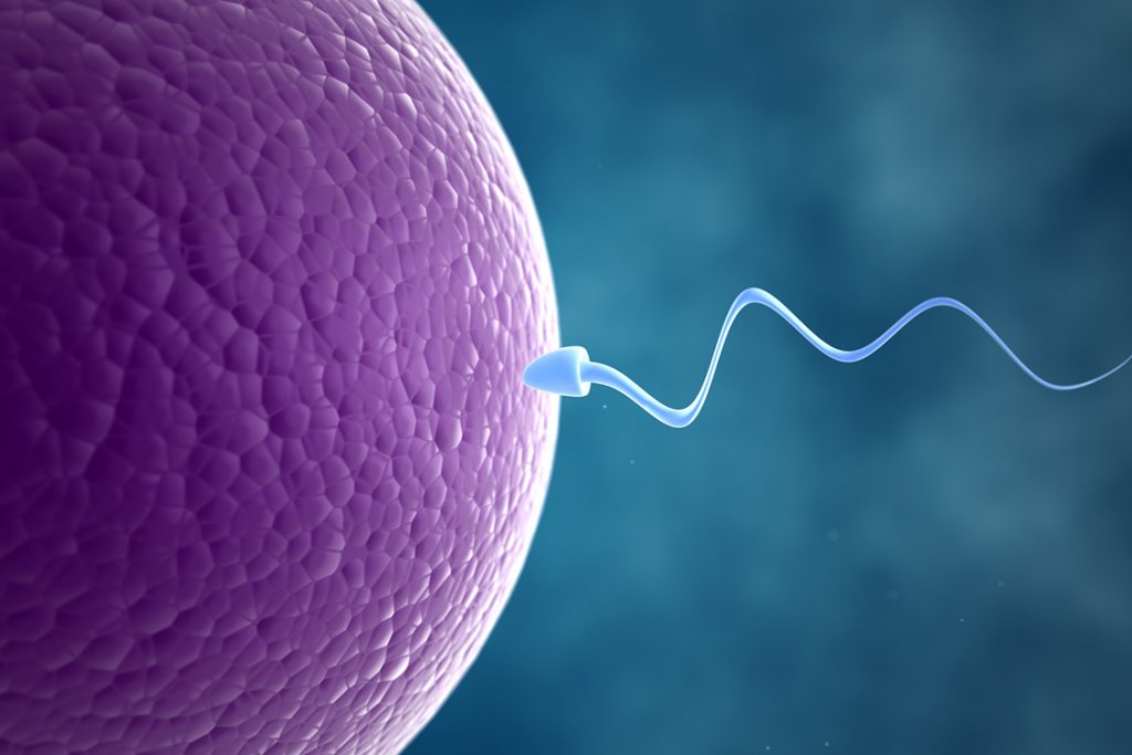 Você está visualizando atualmente Quais fatores que mais prejudicam a fertilidade masculina?